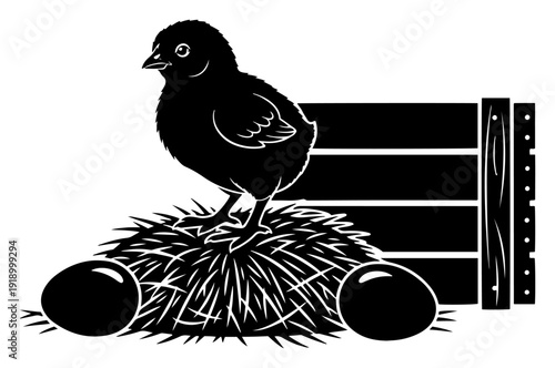 Silhouette of a baby chick standing on a straw nest with eggs and a wooden fence