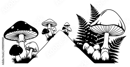 Black and white silhouette of forest mushrooms and fern leaves in nature