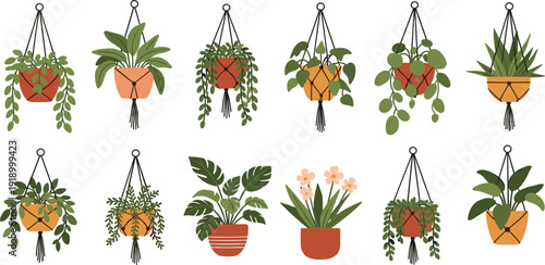 Hanging Houseplant and Indoor Potted Plant Vector Set with Macrame Planters Tropical Leaves and Home Decor Botanical Illustration Collection