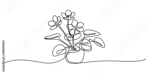African violet flower drawing mono line. Continuous line icon on white background, African violet in continuous line art drawing style. Saintpaulia flowering plant black linear sketch isolated minimal