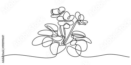 African violet flower drawing mono line. Continuous line icon on white background, African violet in continuous line art drawing style. Saintpaulia flowering plant black linear sketch isolated minimal