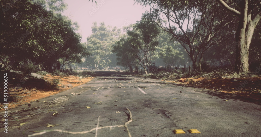 Εκτύπωση καμβά A deserted road is surrounded by dense trees and fallen branches, showing signs of a recent storm
