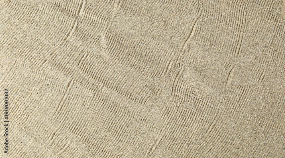 Obraz premium Desert sand dune background and texture, top view