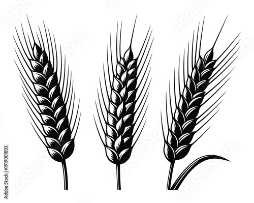 Three Stylized Black and White Wheat Stalks on a White Background