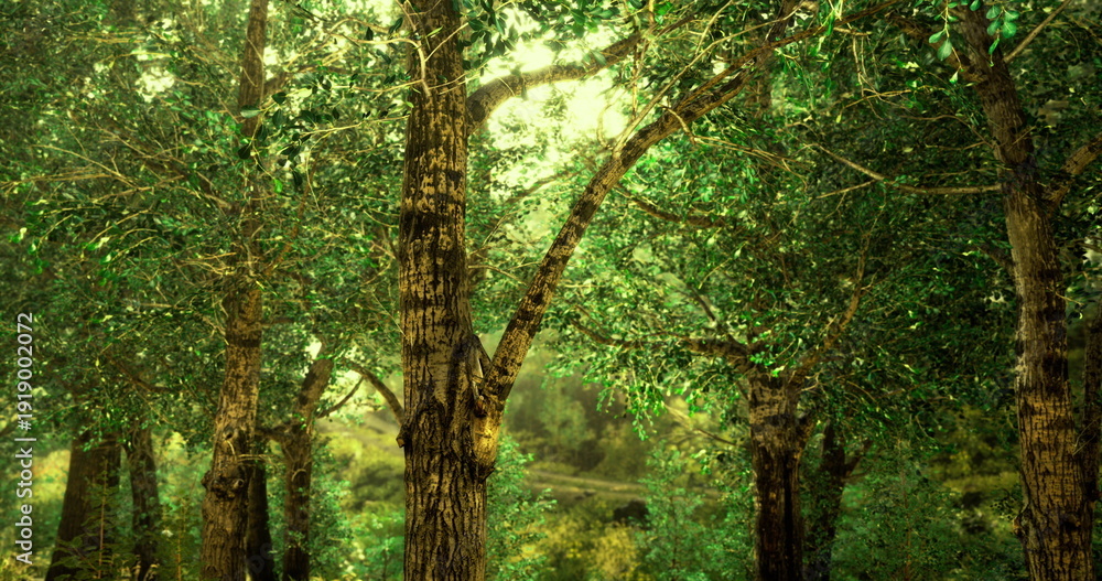 Fototapeta premium Bright woodland route with shimmer, Golden illuminated forest path with flickering light measures inviting outdoor exploration and adventure tales