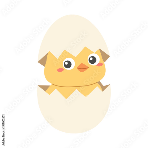 Cute baby chick peeking from cracked egg shell. Easter hatching chick character for spring designs