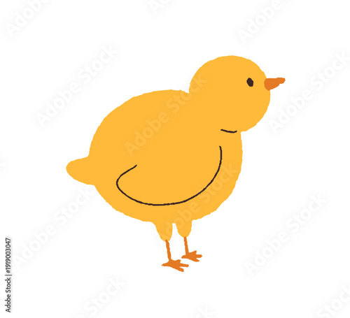 Chicken in profile. Cute little chick, yellow bird standing, side view. Small...
