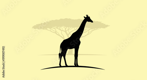 Majestic giraffe standing under savannah tree at sunset