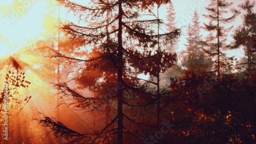 Konstfotografi golden sunrise through misty pine canopy, warm beams and hazy atmosphere create cinematic, wellnessoriented forest bathing imagery with rich autumn tones