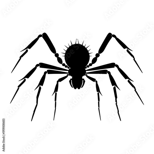Detailed black silhouette of a spider with hairy legs. Pictogram of nature, danger, or Halloween. Vector illustration.