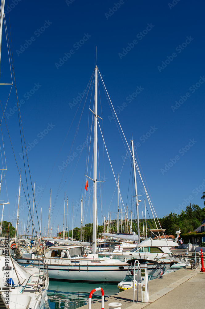Fototapeta premium A vertical shot of a vibrant marina filled with various white sailing yachts and motorboats docked along a pier. The tall masts of the sailboats reach toward a deep, cloudless blue sky. The crystal-cl