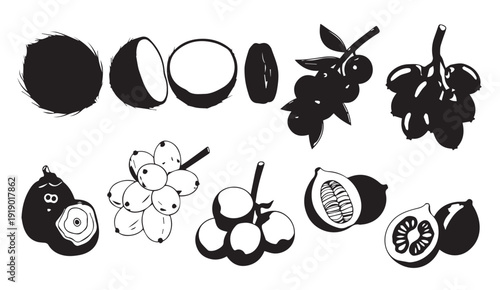 Collection of Fruits and Berries Silhouette IconsCoconut Grapes Figs Coffee Beans