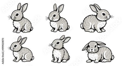 Collection of Adorable Baby Bunnies in Various Poses.