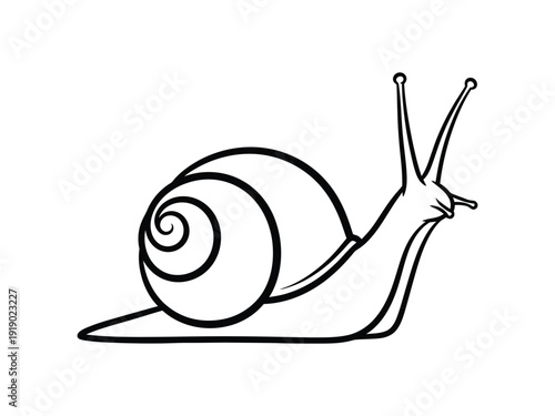 Simple Line Drawing of a Snail with a Swirling Shell on White