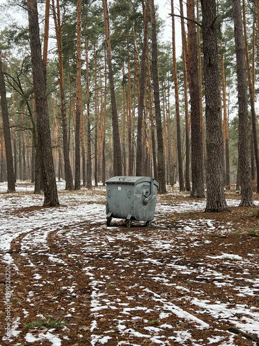 Lonely Trash Container in Winter Pine Forest, Kyiv Ukraine