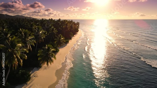 Tropical Beach at Sunset with Palm Trees.