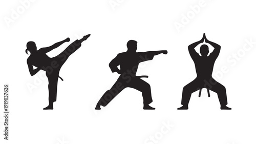 Martial Arts Silhouettes in Dynamic Poses with High Contrast Lighting on White Background for Fitness Promotion