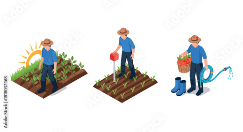 Isometric farmer activities: planting, measuring, harvesting with watering tools