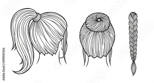 Illustration of three different hairstyles for women.