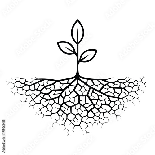 Slika na platnu Plant Roots Growing in Dry Soil