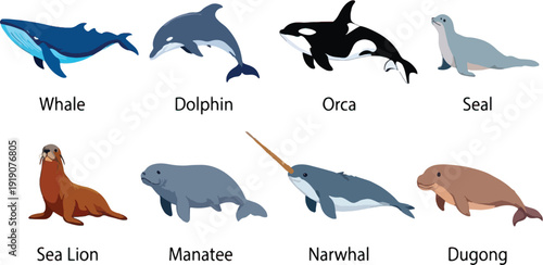 Ocean Wildlife Collection Flat Line Art of Seal, Sea Lion, and Manatee.eps