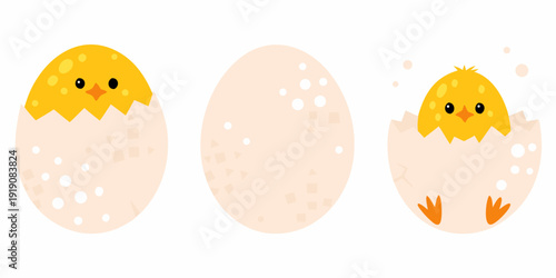 A chick hatching from an egg illustrating stages of new life