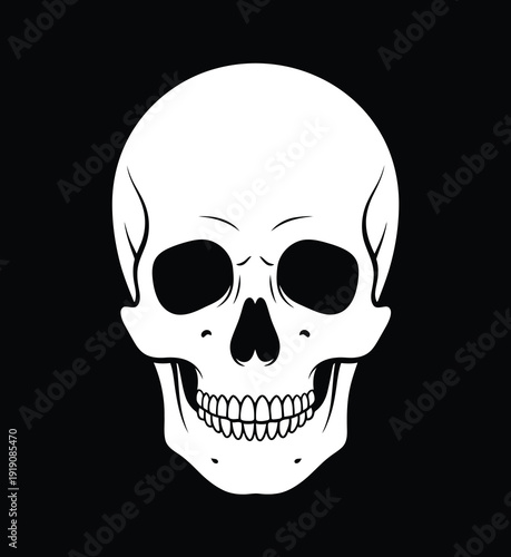 Illustration of a white human skull with black eye sockets and a wide grin isolated on a plain dark background