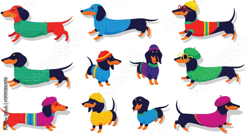 Colorful dachshund dogs in bright sweaters vector collection