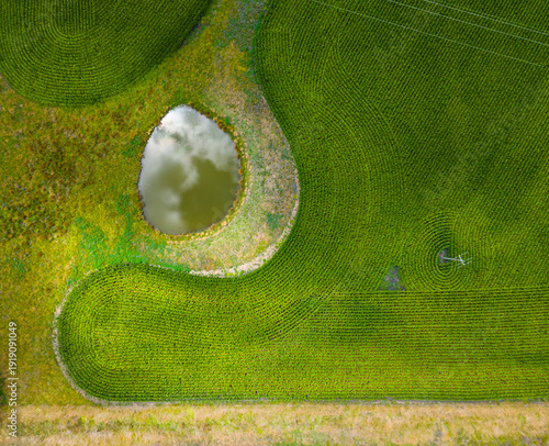 Patterns from the sky of Corn farm near Glen Innes, New South Wales