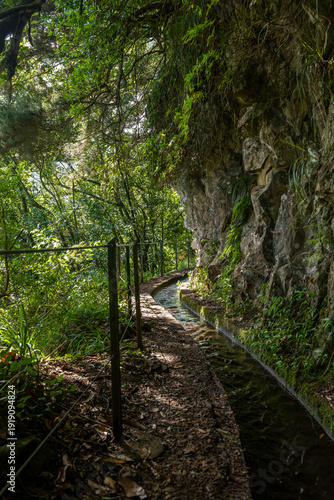 Leśna ścieżka wzdłuż lewady w bujnym krajobrazie Madery