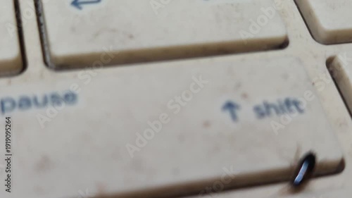 Cockroach crawling on keyboard