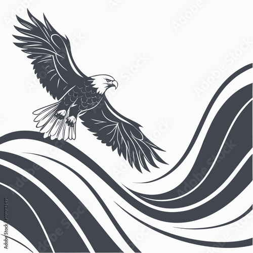 bald eagle vector illustration