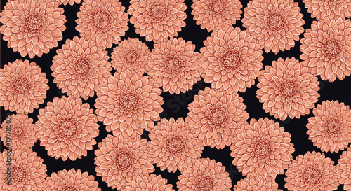 Seamless floral pattern featuring many beautiful pink chrysanthemum flowers on a black background for fabric print.