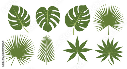 Collection of eight different green tropical leaf silhouettes including monstera and various palm species on a clean white background.