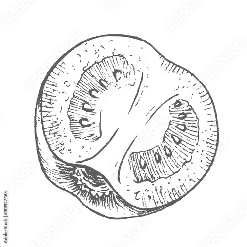 Half a tomato. Vector ink styled handmade illustration. For packaging design, cards, cover, prints, product labels and fabric.