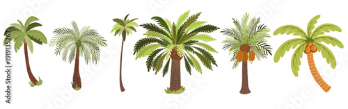 Hand-Drawn Tropical Palm Trees Set in Childlike Cartoon Style