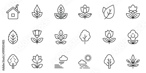 Collection of various leaf and plant line drawings with a house icon