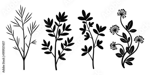 Four black and white illustrations of plants with leaves and flowers