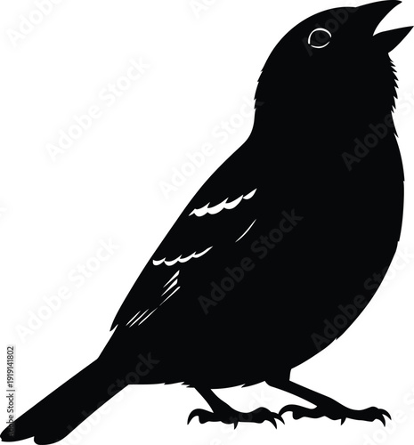 Silhouette Serenade: A striking silhouette of a songbird, perched and singing with its beak open, embodies the free spirit of nature. This graphic illustration captures the essence of wildlife. 