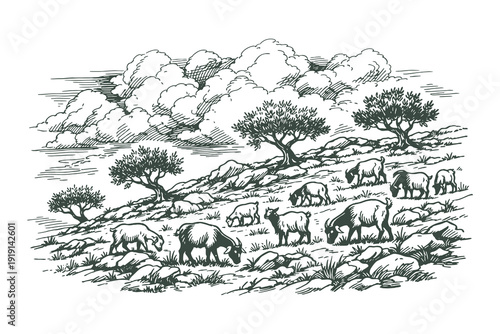 Vintage Woodcut Vector Illustration of a Goat Herd Grazing on a Rocky Hillside in Traditional Hand Drawn Engraving Style with Rural Landscape