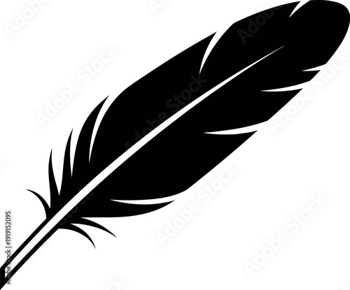 A detailed black and white illustration of a single feather.