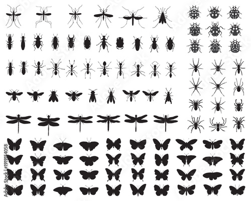 Big set of black silhouettes of insects 