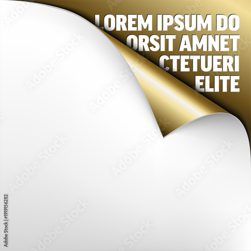 A high quality gold curled page corner revealing a hidden gold surface. This curled page corner effect creates a professional paper look on a plain white paper background for text.