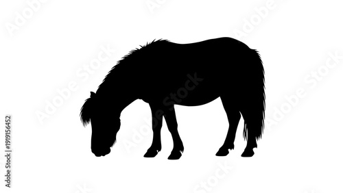 vector illustration of a horse