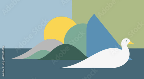 White Swan Swimming in Calm Water.