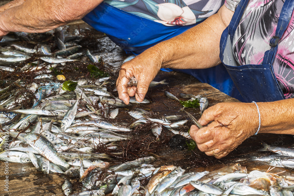 Ταπετσαρία in Leirosa, Portugal, table covered with fresh fish as hands sort and gather them in steady rhythm