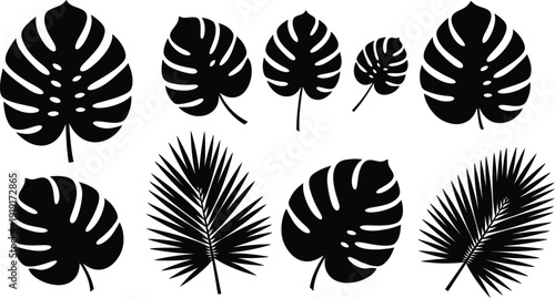 collection of tropical leaves in black silhouette on white background