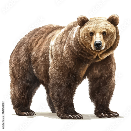 Brown Bear, illustration watercolor with dynamic strokes and balanced color harmony, isolated on a white background.