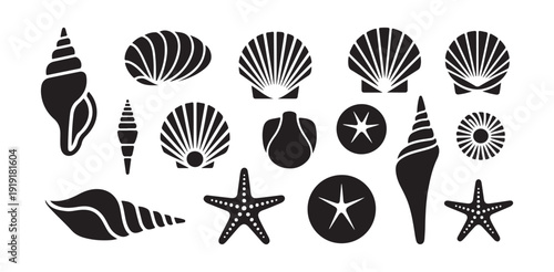 Set of sea shell icons isolated on white background black silhouettes of marine underwater objects