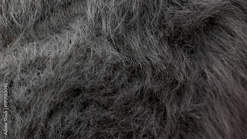 Wallpaper Mural Detailed close-up of dark grey fur texture, resembling a rich, abstract brush painting with uneven strands and depth, creating a tactile and organic background element Torontodigital.ca